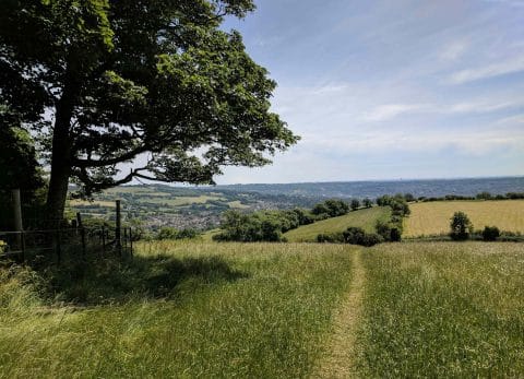 Panoramic view across the Worcestershire countryside from the Malvern Hills, with rolling green fields, hedgerows and woodland under a summer sky